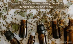 Essential oils Overview: History, Benefits and Market trends