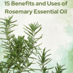 15 benefits of Rosemary essential oil